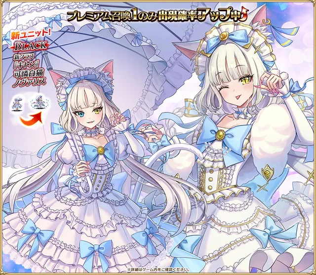 新クラス「キトン」の月末黒「白猫ノヴァリス」登場!オッドアイが可愛すぎる!の参考画像 - わんにゃんランド - アイギス攻略まとめ & DB
